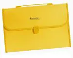 Shining Zon 13 Pockets Plastic Expanding File Folder Documents Large Size A4 Fs Letter Paper Holder with Carry Handle for School Office Home Collage Certificate Organizer (Pack of 1 Yellow Colour)