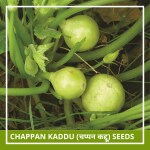 Farmgokart 10 Seed Pack of CHAPPAN KADDU F1 SEEDS