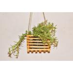 WATIKA CRAFT Wall Hanging Planter Pot Bamboo Planter Eco frienndly Bamboo Planter