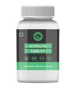 Holy Natural Alfalfa Tablet - 120 tab, Help Is Stamina Performance & Strength, Immunity and Healthy, Dietary Supplement