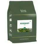 Bixa Botanical Rosemary Leaves | 500gms | Top Grade Leaves From Egypt