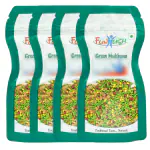 Funtush Mouth Freshener Green Mix Mukhwas 100g Pack of 4
