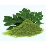 Vi Vethan Papaya leaf (PAPPALI ILAI) Powder 100gm