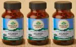 Organic India Kalmegh (Andrographis) Veg Capsule Ayurvedic Medicine (3 Packs, 60 Veg Capsule in Each Pack)