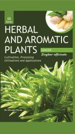 8. Zingiber officinale (Ginger)