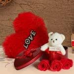 DAILY FEST Valentine Gift Heart Shape Teddy Gift Box and Heart Shaped Cushion