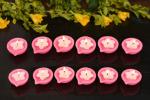 CraftVatika Pink Wax Tealight Candles 7.49 x 5 cm (Pack of 12)