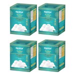 KHAOSA Rasbhari | 4Kg | Gourmet, Soft Rasbhari | 16 Pieces in 1 Tin | Traditional Mithai | Irresistible Flavoured Rasbhari | Exotic Gift-worthy Rasbhari Treat | Easy-To-Carry Rasbhari Box