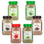 Glow Lush Organic Amla, Reetha, Shikakai, Bhringraj, Hibiscus & Tulsi Powder(100g Each)