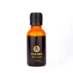 Malai Kulfi Glass Bottle 30 ml