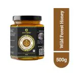 Anveshan Wild Forest Honey 500g | Glass Jar | NMR tested | Raw & Unprocessed | No Added Sugar | Immunity Boosting