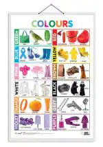GO WOO Colours Educational Poster for Preschool Kids Classroom Study | Learning- Chart for Kids