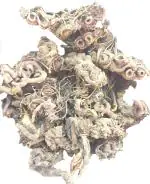 Vinarghya Gathi Chiraita 100g