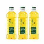 Jivo Cold Pressed Canola Oil Pack of 3, 1 Ltr Each