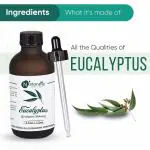 Naturalis Essence of Nature Pure Eucalyptus Essential Oil (120)