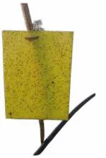 Farmroot Sticky Insect Trap (Yellow, 22 x28 mm, Large Size)
