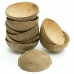 Thenga Hand Carved Natural Coconut Shell Oval Bowls for Ice Cream / Snacks / Parties / Catering - Set of 20, 150 ML