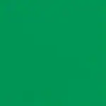 Tiki Times Emerald Green Beverage Napkins 25.4cm x 25.4cm 20pk