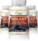 Prirupam SHILAJIT CAPSULE -90 (Pack of 1)