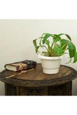 Kyari White Plastic Gamla Round Plant Pot 10 x 15 x 13cm (Pack of 1)