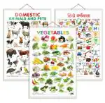 GO WOO Combo of 3 Vegetables, Domestic Animals and Pets and Hindi Varnamala | Charts for Kids