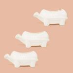 TrustBasket Tortoise Pot (Pack of 3)