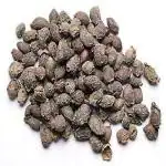Xetomos Jamun Guthli Black Plum Jamun Beej Indian Blackberry Jamun Fruit Dried Jamun Seeds 100g
