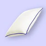 Centuary Mattresses Centuary My Power Anti Microbial Soft Polyester Fibre Pillow (27 X 17) Inch, White