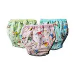 Crawl'in Baby Panty for Boys and Girls Reusable Waterproof with Soft Lining Inside Absorbable Plastic Outside- Colorful Print Large Size - Set of 3