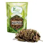 YUVIKA Patol Patra - Patola - Trichosanthes Dioica - Pointed Gourd (400 Grams)