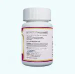 ANJIX Silybum Marianum Extract Silymarin 80 Percent, 350 mg (60 Vegetarian Capsules)