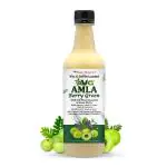 AVG Amla Berry Green, Pulpy Amla Juice, Suitable for healthy Hair & Skin, Rich in Vitamin C, Immunity Booster, Fortifies Liver, Natural Detox, No Added Sugar, 500 ml