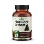 ZESPO Pine Bark 60 Capsules Supplement Antioxidant For Skin, Urinary Function,Cognitive Function & Enhanced Absorption Unisex Adults