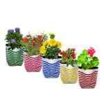 Trustbasket Multicolor Premium Colorful Stripe Grow Bag (5)