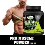 Inlazer Pro Muscle Weight Gain Powder |Body Building Gym Supplement, Whey Protein Powder Weight Gainers/Mass Gainers (200 g, No Flavour)
