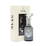 HUNAIN EDP PerfumeS Stag Black Unisex EDP Perfume For Men & Women - 100ml | Long Lasting Fragrance