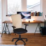 EMOLIFE MERCURY Mesh Medium with Ergonomic Design and Adjustable Arm Rest office Chair (Cream)