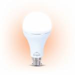 d. light 9W Quick Charge Emergency Inverter LED Bulb with long rechargeable battery life for home