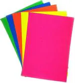 Lakeer A4 Color Paper 100 Sheets (5 Colours X 20 Sheets Each) Premium Colour 120 GSM Pack for Copy Printing, DIY Art & Craft, Projects, Decoration, Other Office Printing.