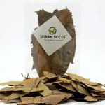 Urban Seeds Whole Tej Patta, 1 Kg