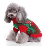Qpets Winter Clothes For Dog Knitted Crocheting Sweater For Small Dogs Print Sweater Christmas Suit For Small Dogs Christmas Sweater For Dogs Gift For Dogs (Red, Size: L)