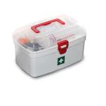 Brown & Green White Multi Purpose Regular Rectangular Medicine Box With Handle, 236 X 160 X 139 Mm