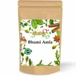 Dirghaanshi Dried Bhumi Amla,Bhoomi Amla,Phyllanthus Niruri,Jangli Amlai,Tamalaki,Bahupatra Seed (Pack of 250gm)