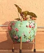 Appeasy Green Metal Flower Pot with Stand 15 cm x 15 cm
