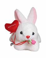 Tickles Polyester Rabbit with Special Best Friend Heart Washable Stuffed Toy 26 cm 24M and Above
