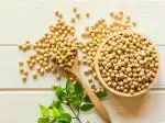 FOLS ORGANIC SOYABEAN | SOYBEAN 400 GM