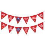 Festiko Team DC Pennant Banners (Set of 13 Pcs), Ipl Theme Pennat/Flag/Bunting Banner, Cricket Party Props, Ipl party supplies, Ipl Theme Decorations