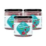 RRAAMS' DRIED CRANBERRY 200GM|HEALTHY | GLUTEN FREE | DRIED CRANBERRIES 200GM (PACK OF 3)