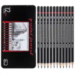Soucolor Professional Drawing Sketch Pencils Set of 12, Medium (8B - 2H), Ideal for Drawing Art, Sketching, Shading, Artist Pencils for Beginners & Pro Artists