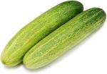 MOZETTE Organic Cucumber Seed (66 per packet)